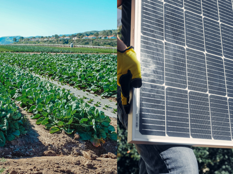 PROGETTIAMO SOLUZIONI PER LA SOSTENIBILITÀ DELL’IMPRESA AGRICOLA – GLI IMPIANTI AGRIVOLTAICI